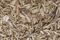biomass boilers Peinachorrain